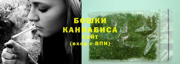 дурь Бородино