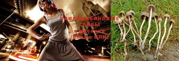 дурь Бородино