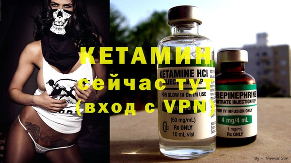 дурь Бородино