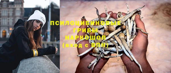 герыч Бронницы