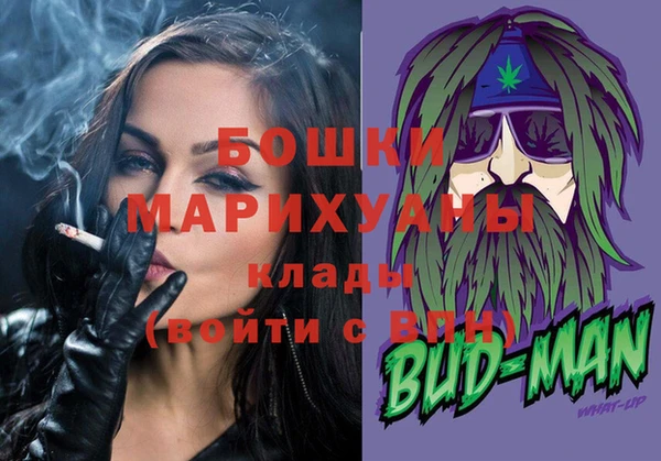 дурь Бородино