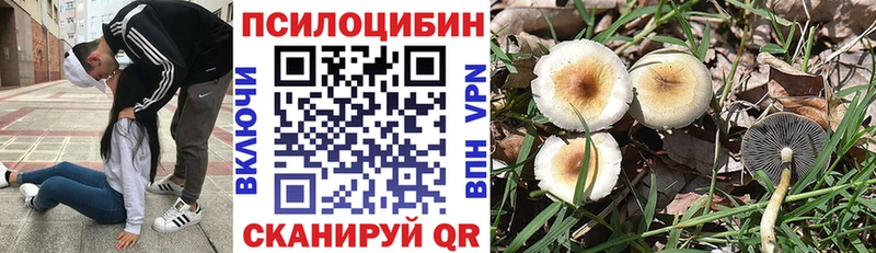 Псилоцибиновые грибы MAGIC MUSHROOMS  хочу наркоту  гидра как войти  Минусинск 