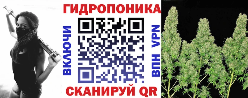 Конопля планчик  MEGA рабочий сайт  Минусинск 